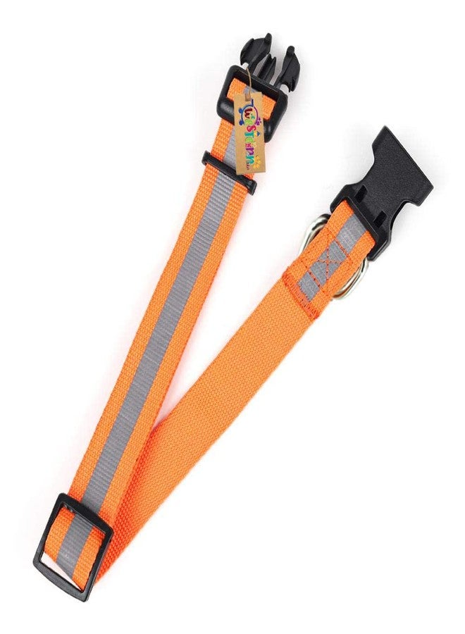 ويستيرن إرا طوق عاكس للكلاب من ويسترن إيرا، مصنوع من قماش النايلون، مرن، فائق النعومة، عالي الكثافة، لطيف على الحيوانات الأليفة ولا يسبب تهيجًا، يتيح اللعب بحرية وراحة. - Image 5